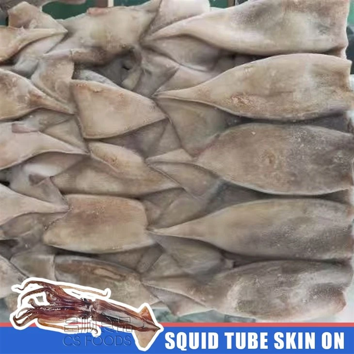 Bulk Frozen Squid Tube Skin On suppliers