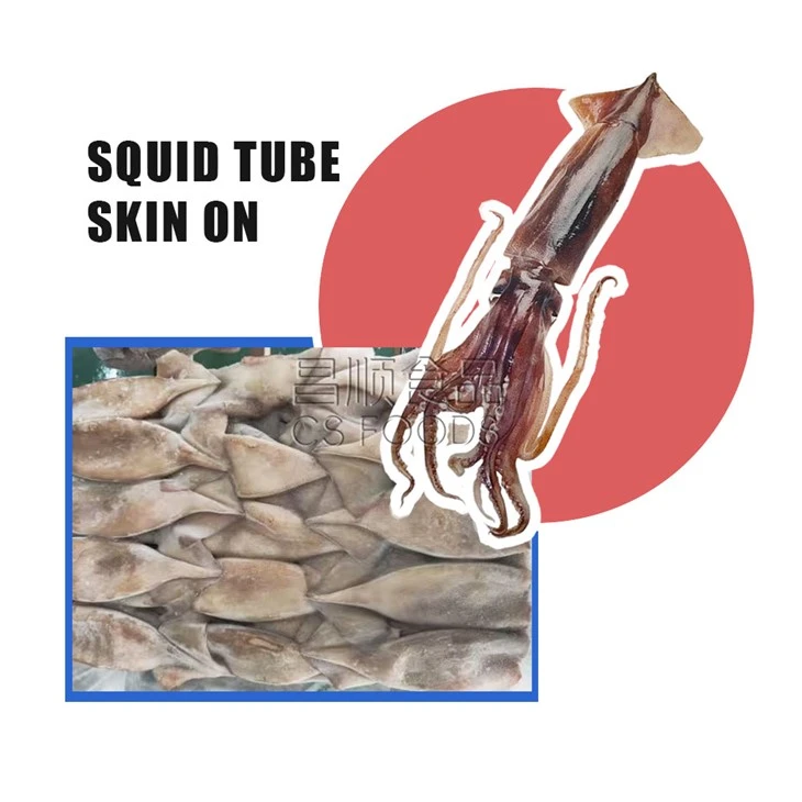 Bulk Frozen Squid Tube Skin On