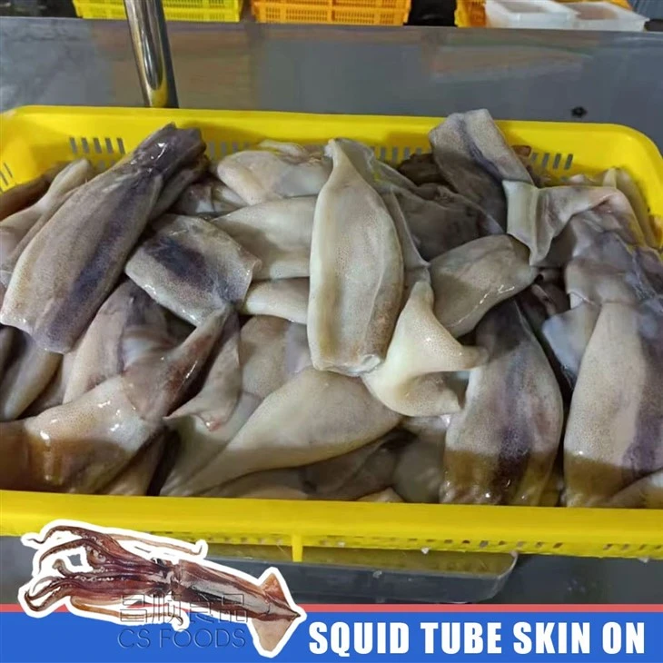 Bulk Frozen Squid Tube Skin On factory